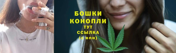 каннабис Новозыбков