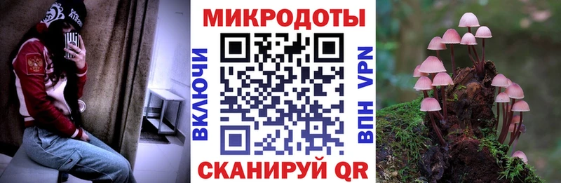 Псилоцибиновые грибы Psilocybe  Купить где  Ярославль 